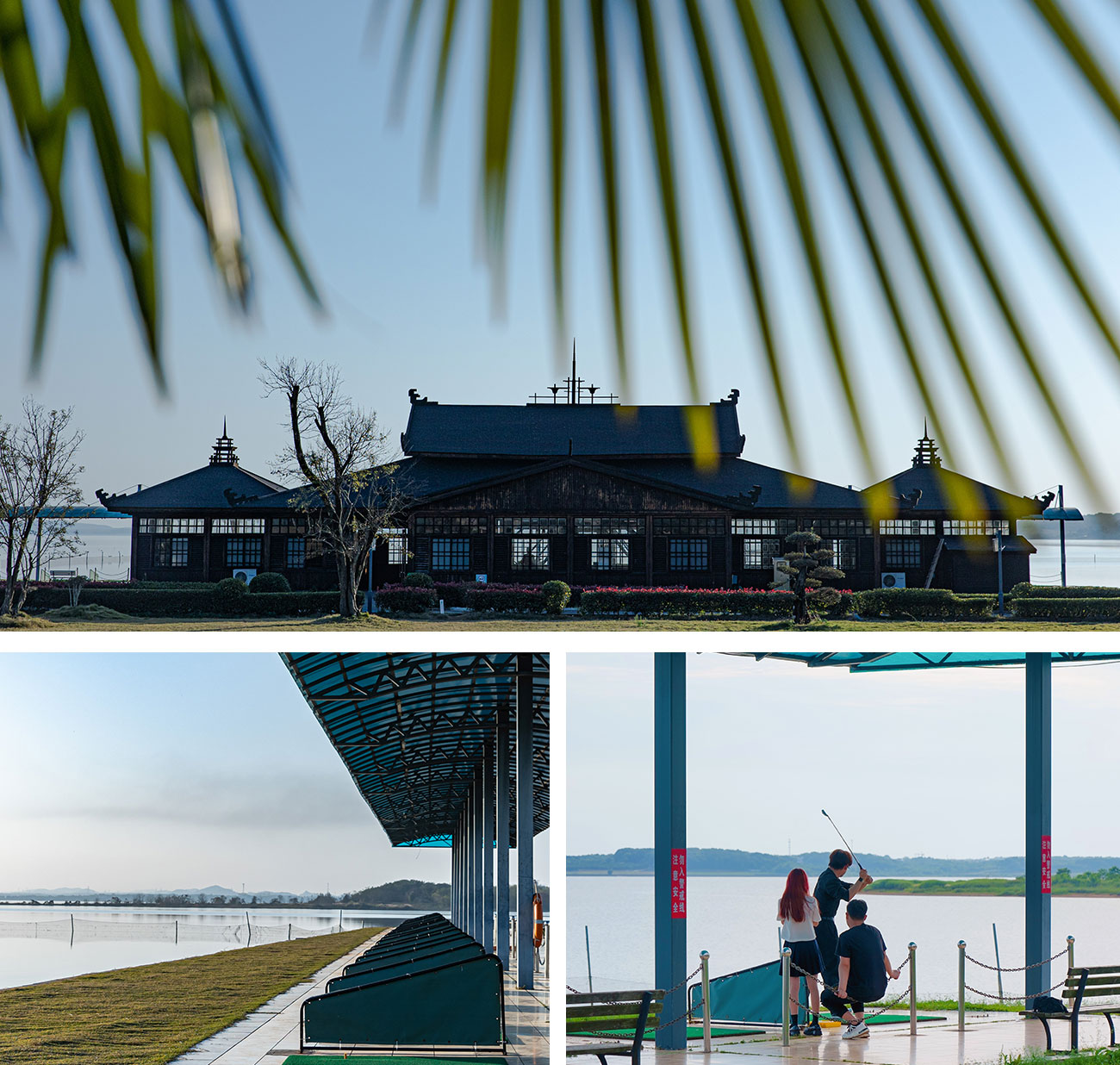 143620510.jpg 16.jpg